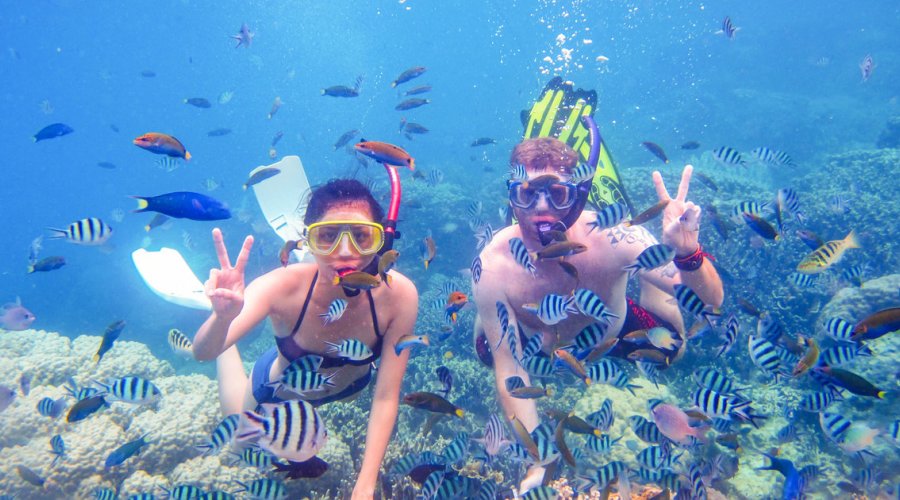 Snorkeling