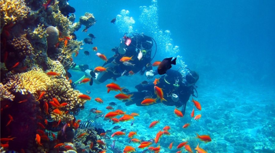 Diving