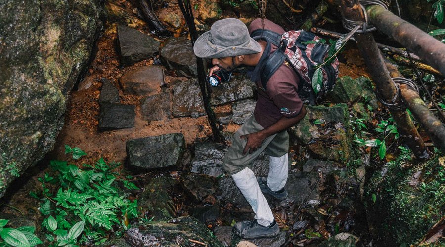 Kanneliya Rain Forest