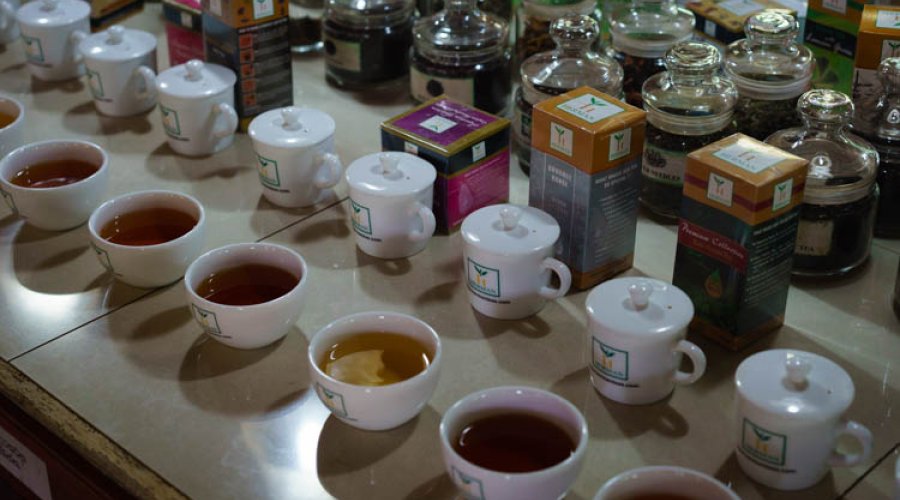 Handunugoda Tea Factory