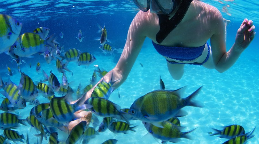 Snorkeling