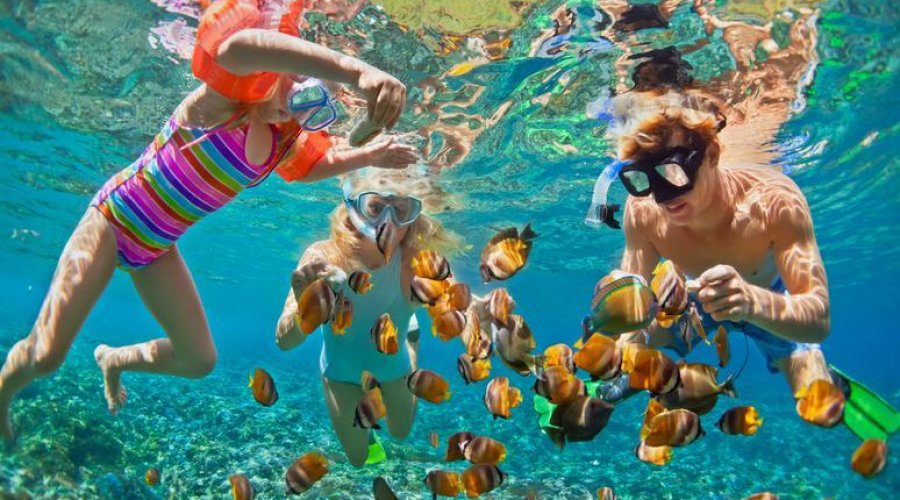 Snorkeling