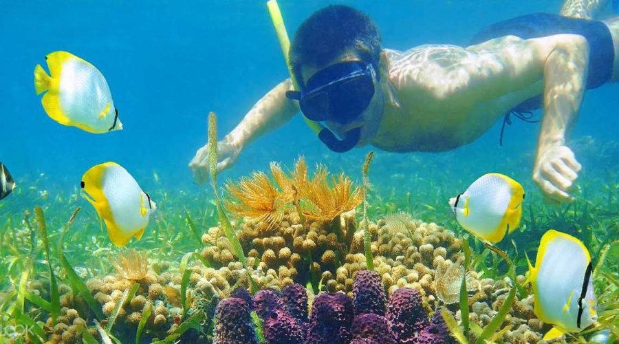 Snorkeling