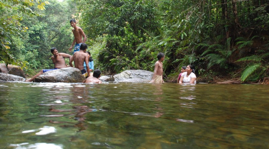 Kanneliya Rain Forest