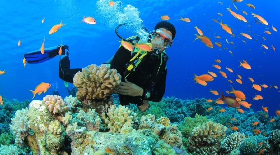 Diving