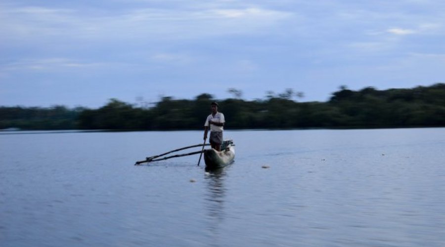 Koggala Lake Safari
