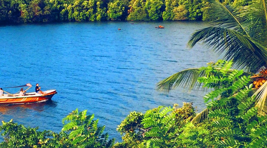 Koggala Lake Safari
