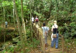 Kanneliya Rain Forest