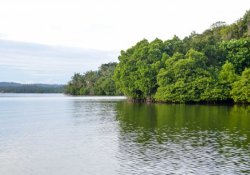 Koggala Lake Safari
