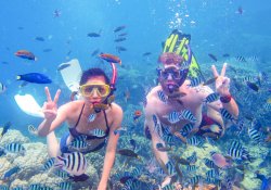 Snorkeling