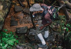 Kanneliya Rain Forest