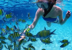 Snorkeling