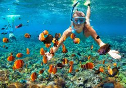 Snorkeling