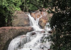 Kanneliya Rain Forest