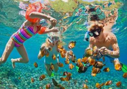 Snorkeling