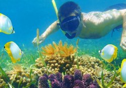 Snorkeling