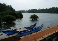 Koggala Lake Safari