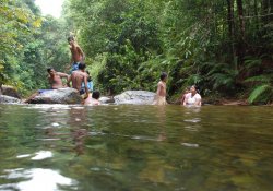 Kanneliya Rain Forest