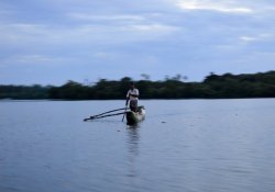 Koggala Lake Safari