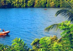 Koggala Lake Safari