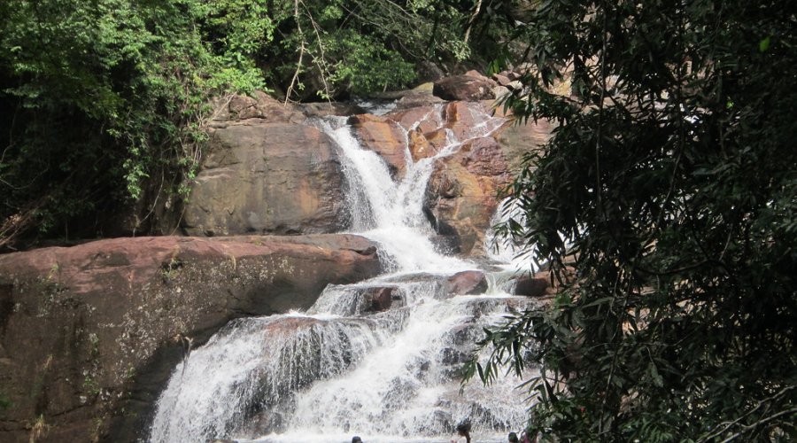 Kanneliya