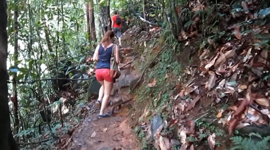 Sinharaja Forest