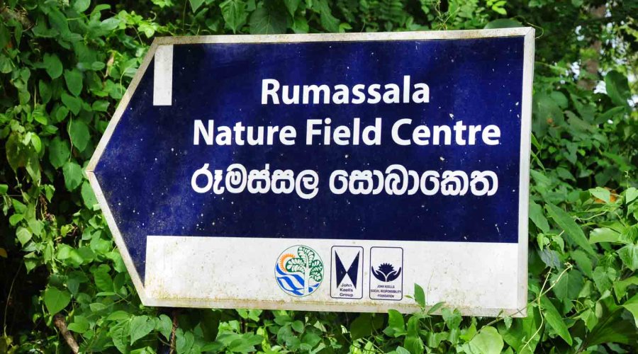 Rumassala