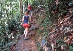 Sinharaja Forest